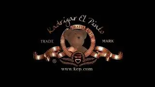 INTRO Metro Goldwyn Mayer Pinto