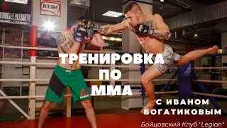 Тренировка по MMA/Бойцовский клуб Легион/Блог с тренировочного дня