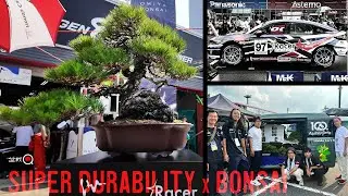 スーパー耐久レースで大宮盆栽村100周年をPRしてみた【盆栽Q】