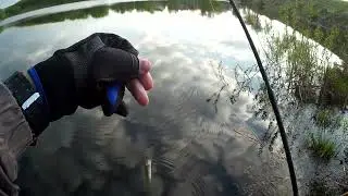 Дежавю)) #shorts #рыбалка #рек #тренды #втренде #топ #rybalkaestrybalka #врек #fishing