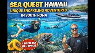 Sea Quest Hawaii - South Kona Snorkel Expedition and Night Manta Ray Snorkel Experience