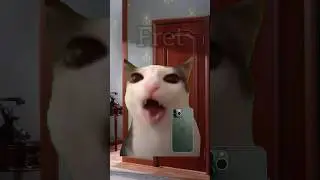 Do you have a friend like that? 😅 