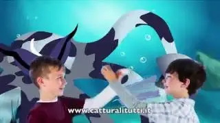 Tentacols &Co