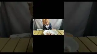 Отсоси у пьяной обезьяны... 