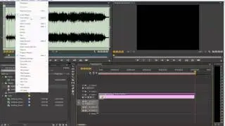 Editing Video in Premiere Pro CS6