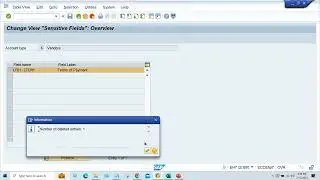 SAP APP Error // Account blocked due to unconfirmed change to master record // Message no. FZ736