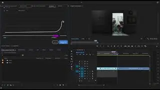 Creating Multiple Dynascores on a Single Sequence