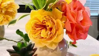#rose #garden #nature #freshflowers #homedecor #succulent
