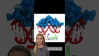 Designing new DNA-binding proteins (Glasscock et al, Biorxiv 2023)