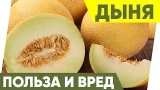 Дыня польза и вред/ Кому категорически нельзя есть дыню.