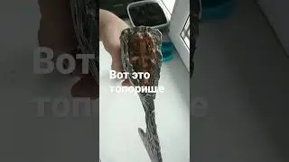 не топор а топорище.
