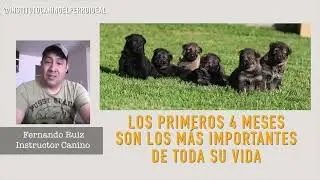 01   Curso Educación y Crianza de Cachorros - Introducción