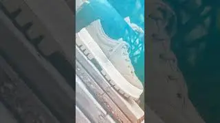 PALLADIUM | SS24 Dare To Care