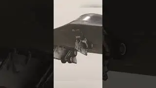 B-2 Spirit landing gear cinematic #flightsim
