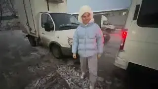 Поцелуй газели АВАРИЯ??