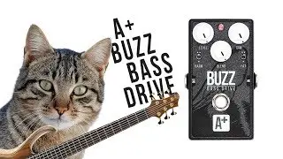 A+ (by Shift Line) - BUZZ (feat OC-2)