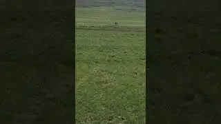 Дик 10 месяцев