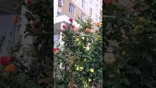 10 июня 2023 г.