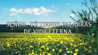 Señor, tu tienes palabras de vida eterna. (Salmo 18) Marisella & Carlos