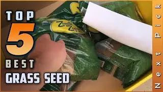 Top 5 Best Grass Seed Review in 2024