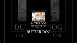 @PochiWanmaru  Butterdog #shorts