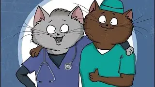 Главное качество ветврача. Чему сейчас учат. Основа ветеринарной медицины.