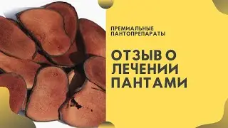 Отзыв о лечении пантами алтайского марала | Premium Maral