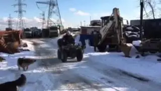АРБАТ БАЗА