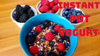 Instant Pot Yogurt Cold Start
