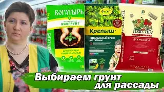 КАКОЙ ГРУНТ ДЛЯ РАССАДЫ ВЫБРАТЬ? ПРОВОДИМ ЭКСПЕРИМЕНТ! #огород #рассада #сад #центрсадовода