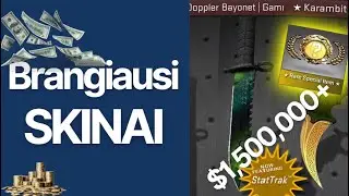 Brangiausi CS:GO Skinai 2023