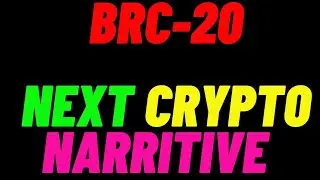 BRC20's and SBRC20's What are they??????