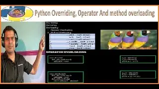 11. Python Overriding and Overloading (OOPS part 3 of 3).