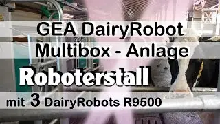 Familie Allgäuer - 3 GEA Dairy Robots als Multi-Box Anlage