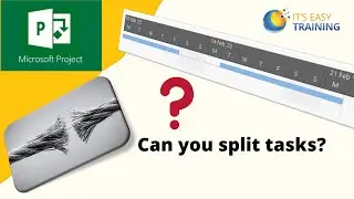 How to split tasks in Microsoft Project