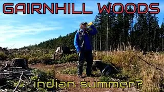 COUNTESSWELLS .Gairnhill, Blacktop woods