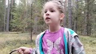мы не только вяжем,но и ходим на тихую охоту🤗😀