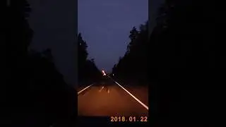 Лось на дороге! #Shorts