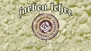 LEŚNE LUDKI – Wataha | FRIENDS FOR FRIENDS | Farben Lehre (2021)