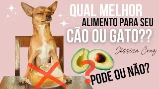 Como alimentar um animal de estimação? Qual o melhor alimento para seu cão ou gato?