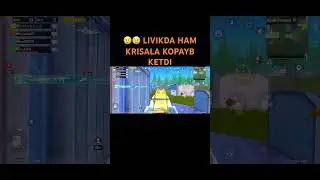 Bolla id tashela dr tashema birga uynemz