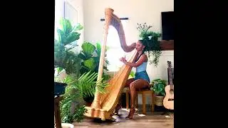 Madison Calley Harp Cover: One Wish by Ray J