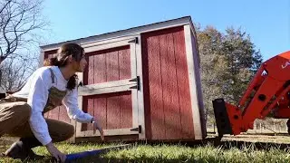 Moving our Farrowing Barn (& We named the Mangalitsa Piglets)