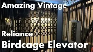 Vintage High Speed Reliance Birdcage Elevator at a Downtown Chicago Apartment Building