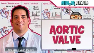 Aortic Valve Stenosis & Regurgitation | Retired