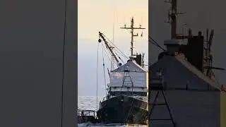 13 августа 2024 г.