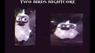 two birds