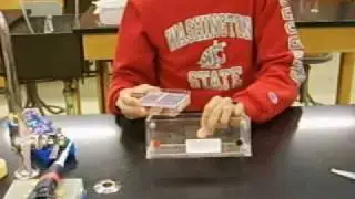How to load a gel