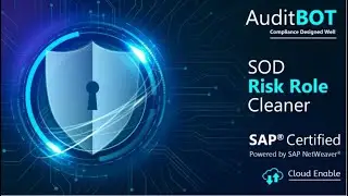 AuditBOT GRC / SOD Risk Role Cleaner for SAP