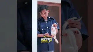 CRAZY! THIS DRIVER BEAT HIS EMPLOYER WITH BOILED CHICKEN